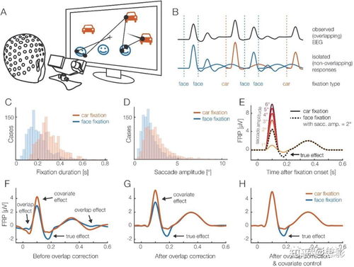 思影科技眼動(dòng)數(shù)據(jù)處理服務(wù)與軟件開發(fā)，賦能精準(zhǔn)視覺(jué)洞察