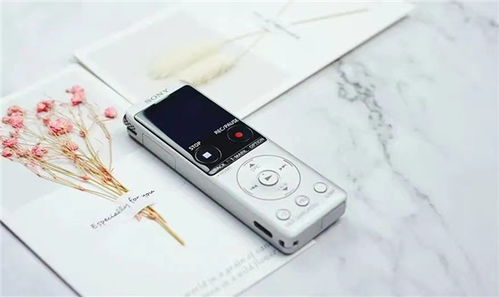 專業與趣味并存 索尼ICD-UX570F錄音筆的“小花招”